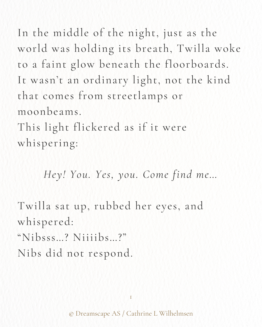 Twilla & Nibs and the Secret Room of the Winter Night - PlanetC